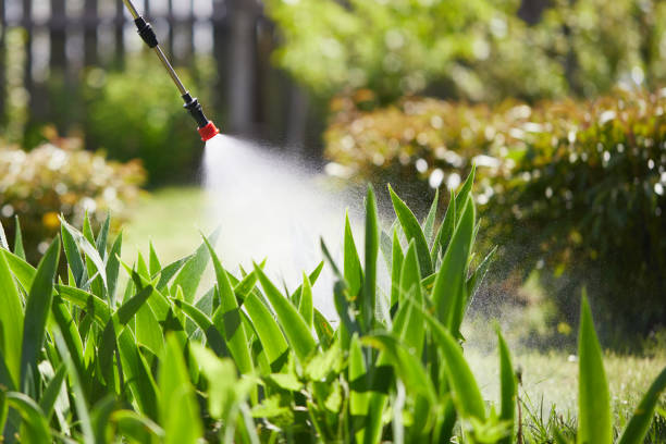 24/7 Emergency Pest Control experts in South Dakota, SD